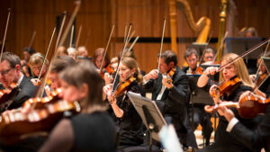 Royal Philharmonic Orchestra